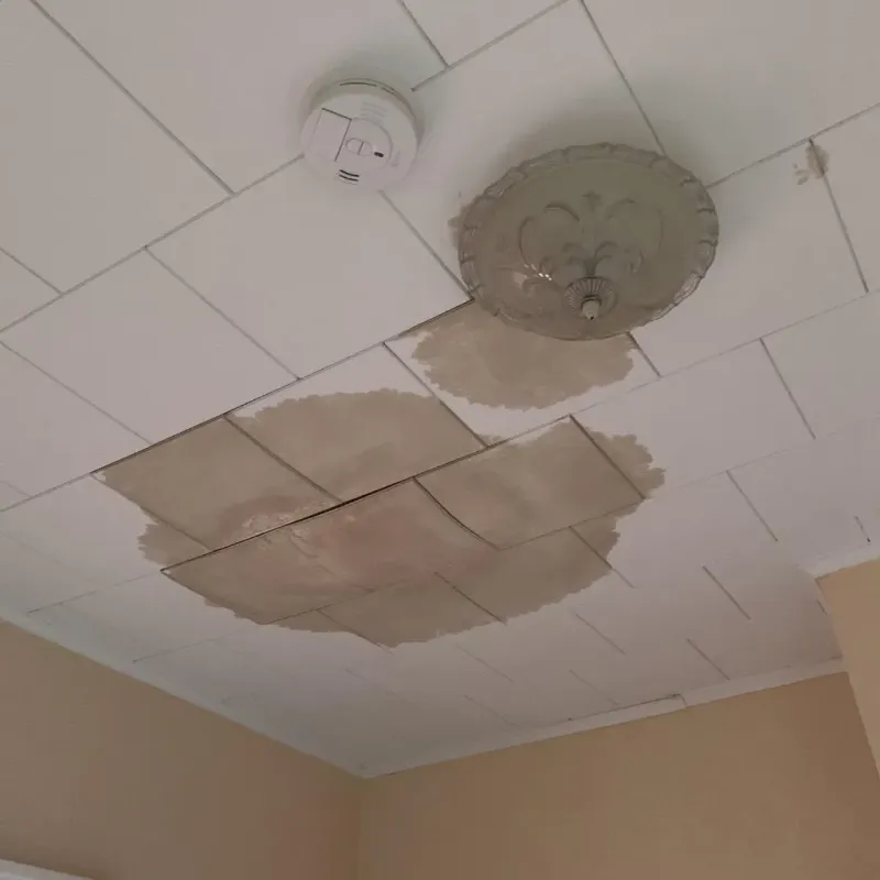 Ceiling Water Damage Repair in Brooklyn Heights, OH