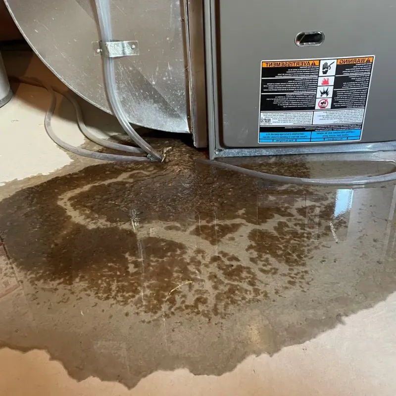 Pipe Burst and Leak Restoration in Brooklyn Heights, OH